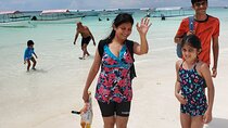 Half Day Private Experience in Mnemba With Sea Turtle Aquarium