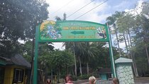 Dunns River Falls Private Tour ** {Entry Tickets Included }**