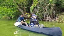 Lake duluti Canoeing/kayaking &/or cycling adventure with lunch 