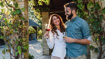 Private Vineyard Tour with Dinner Under the Stars in Karnas
