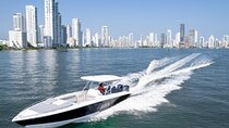 8-hour private tour in a luxurious and fast 41' AWA boat