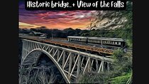 Walking Safari to the Falls, Bridge and beyond with Savannah