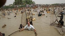 Attend Nigerian Festivals