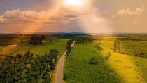 8 Days Private Wildlife Tour in Uganda