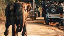 Day Excursions to Udawalawe From Galle (Transfer only)