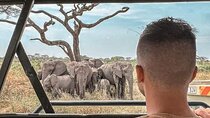 2 Days Safari to Tarangire, Ngorongoro Crater and Snake Park 
