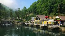 Full-Day Sapanca and Maşukiye Tour with Lunch from Istanbul 