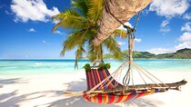 Saona Island Day Trip From Punta Cana with Pick Up and Open Bar 