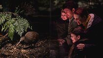 Kiwi Park Queenstown Admission