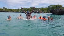 Safari Blue island of Kwale Adventure 