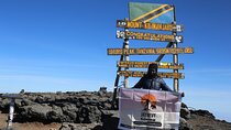 7 Day Mount Kilimanjaro via Lemosho Route