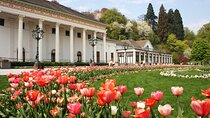 Frankfurt to Black Forest, Baden-Baden, Freiburg and by Car