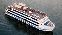  9-day Cruise and Sightseeing of Cairo, Luxor, Aswan, Abu Simbel 