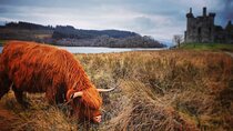 Full Day Private Tour in West Highlands, Oban and Glencoe 