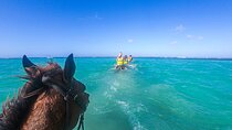Horseback Riding and River Tubing Combo from Montego Bay