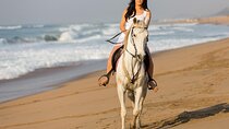 Horseback Riding with Pickup and Drop-off from Sharm El Sheikh