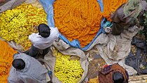 Half Day Tour to the Flower Market and Howrah Bridge in Kolkata