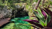 Tulum, Cenote Mariposa & Playa del Carmen from Cancun Luxury Tour