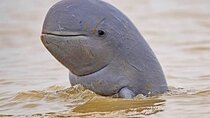 10 Day Ethical Animals Tour Where the Wild Things Roam