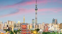 2Days Mt Fuji trip hiking transfer customizable
