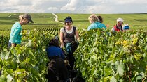 Private tour of the Champagne area, meet local producers and taste their Champagne, start from your hotel in Paris.