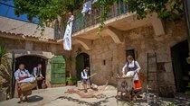 Back to the Roots - Ancient Island Interactive Experience