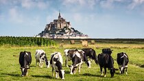 Mont Saint Michel Guided Day Trip with Hotel Pickup