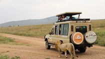 4-Day Private Safari Tour in Tanzania with Guide