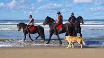 Horseback riding in Durrës