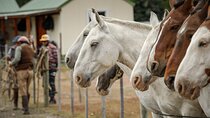 Horse Back Riding Expedition