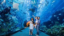 At the Top, Burj Khalifa + Dubai Aquarium