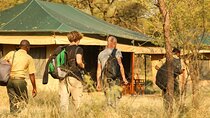 5-Day Private Safari Tour in Tanzania's Wildlife