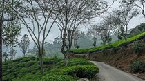 Airport Taxi Transfers from Colombo Airport to Haputale