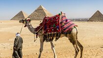 7 Hour Private Tour in Pyramids of Giza and The Egyptian Museum