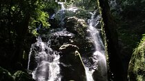 Full-Day Wild Trekk in Panama, Eco Adventure & Culinary Delights