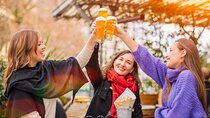 Private Tasting of Irish Beer and Dublin Old Town Tour