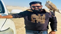 Private Desert safari with Free Camel ride & Falcon Photo Snap