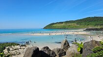 Small group Jeju private Full-Day Tour of East and South and West
