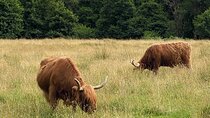 Private Day trip to Loch Ness and Scottish Highlands via Glencoe