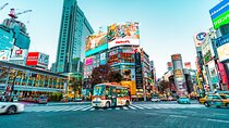Private Departure Tour from Hotel/Airport/Cruise (5-6 Hrs)