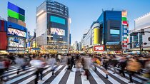 Luxury Haneda Airport Transfer including 2 hours Standby Time