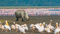 Full-Day Private Lake Nakuru Day Trip from Nairobi