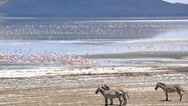 2 Day Tour Lake Nakuru, Hell' s Gate & Lake Naivasha From Nairobi