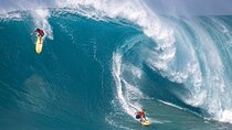 Sea / Eat & See The North Shore 