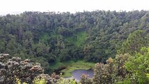 Full Day Private Tour in South of Mauritius