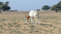 Tour to National Park in the South of Agadir 