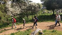 Hiking Profitis Ilias Mountain Winter Session