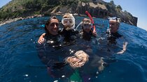 Afternoon snorkelling guided by a marine biologist in Sorrento