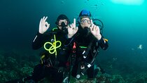 Discover Scuba Diving PADI - Trial dive in Sorrento