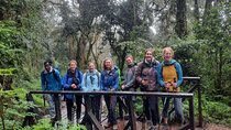 Mount Kilimanjaro Day Hike Through Marangu Route to Mandara Hut